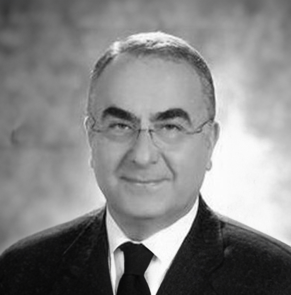 Prof. Dr. Hasan Meriç